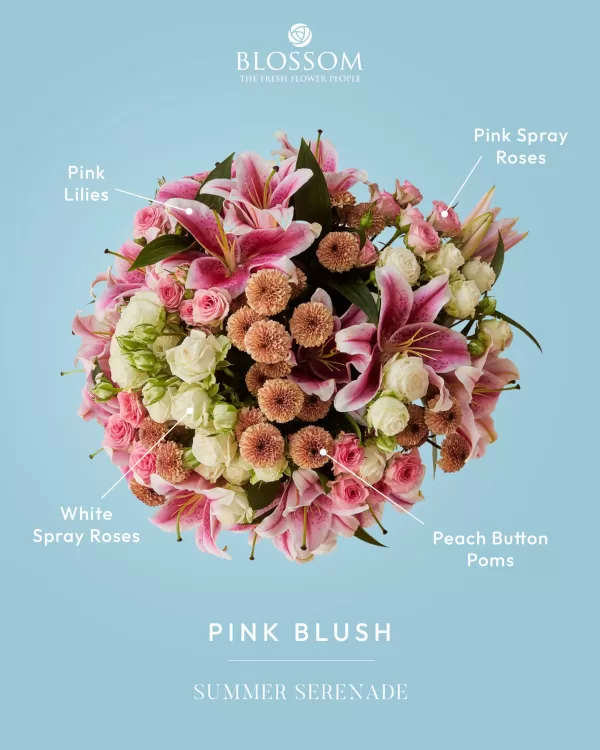 Pink Blush - Image 3