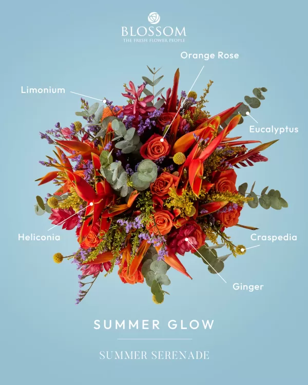 Summer Glow - Image 3