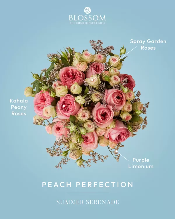 Peach Perfection - Image 3