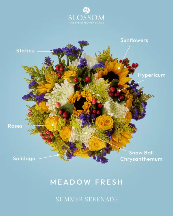 Meadow Fresh - Image 3