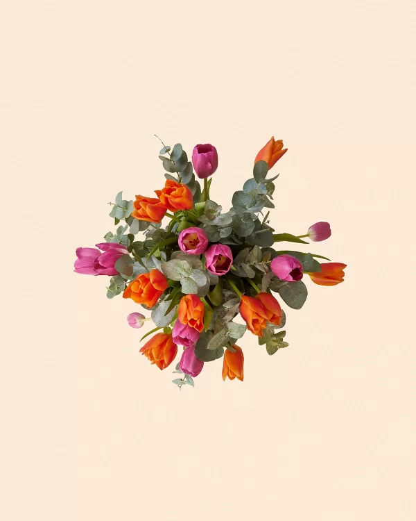 Starburst - Image 2