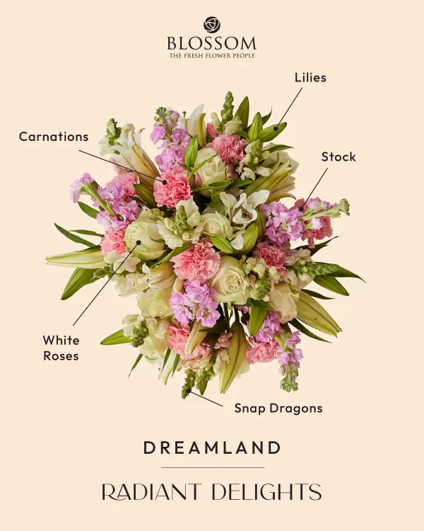 Dreamland - Image 3