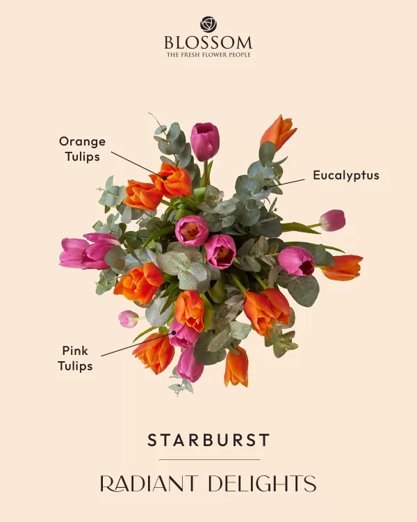 Starburst - Image 3