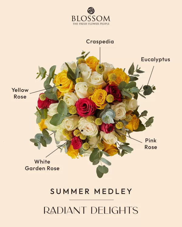Summer Medley - Image 3
