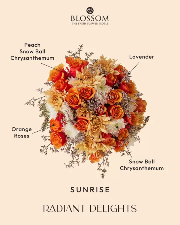 Sunrise - Image 3