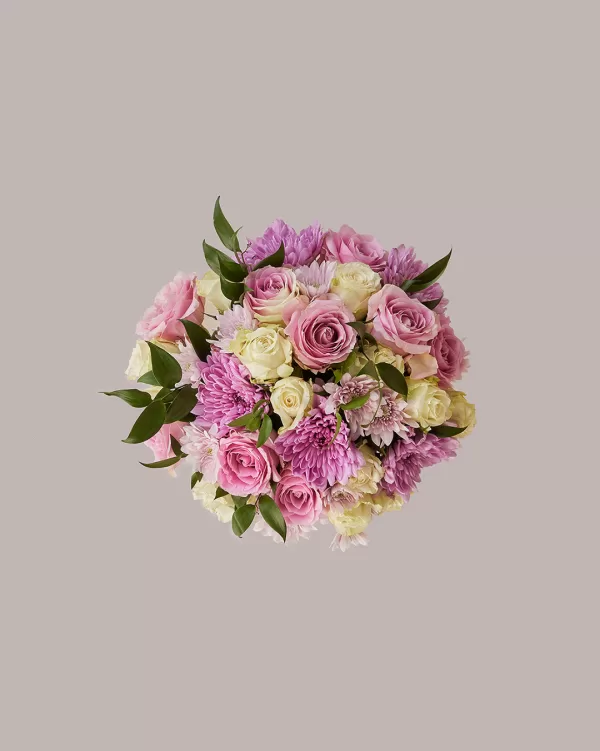 Pastel Blush - Image 2