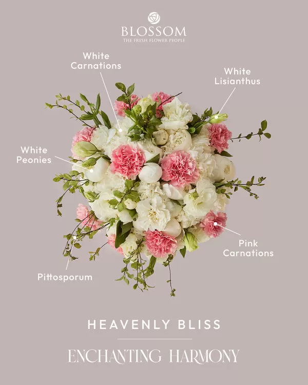 Heavenly Bliss - Image 3