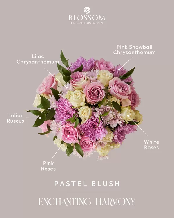 Pastel Blush - Image 3