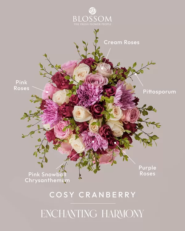 Cosy Cranberry - Image 3