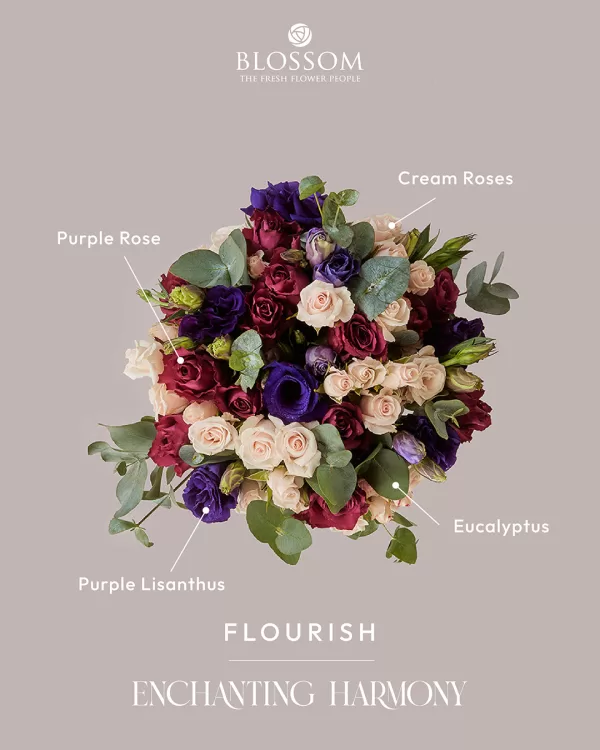 Flourish - Image 3