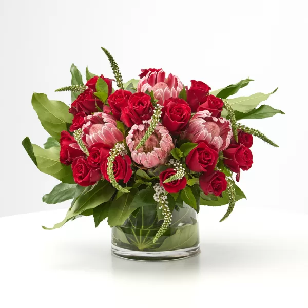 Beloved Bloom