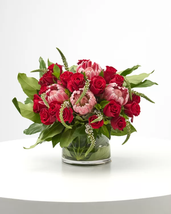 Beloved Bloom