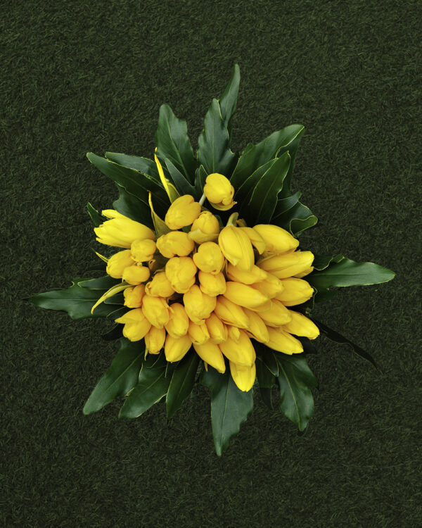 Devotion - Image 2