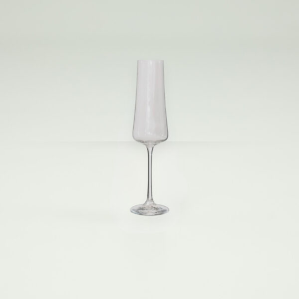 Xtra Champagne Flute | Set of 6