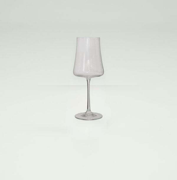 Xtra Wine Glass | Set of 6