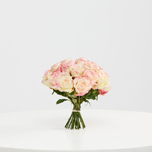 HORIZON PETALS
