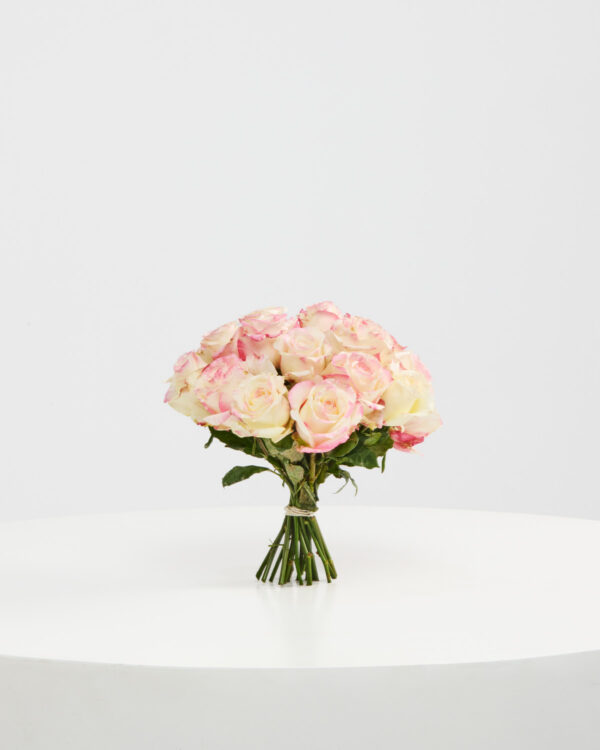HORIZON PETALS