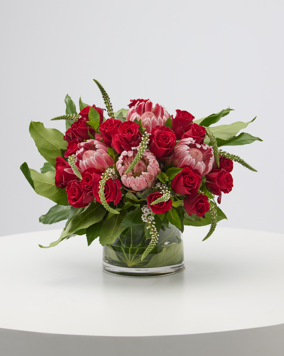 Beloved Bloom Protea