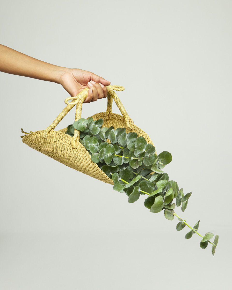 Bloom Catcher - Image 5