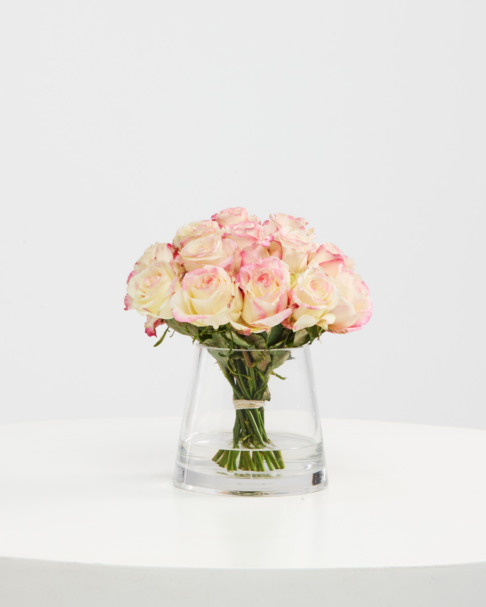 Blush Pink Roses